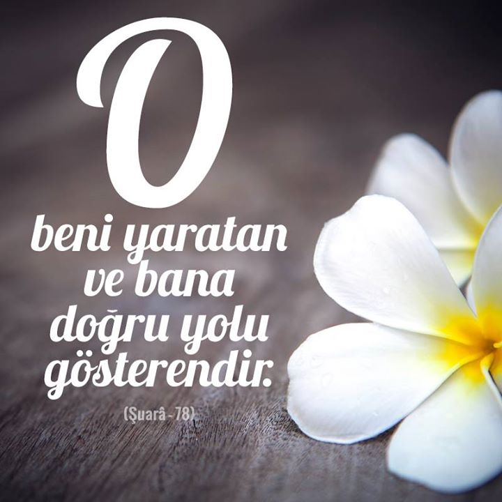 tekayet tweet picture