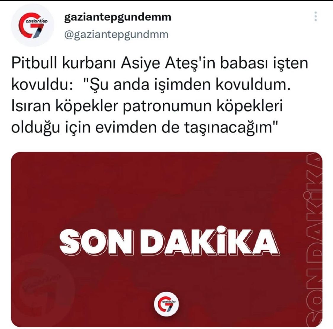 umitozdag's tweet photo. Sayın Erdoğan, insanları Beyaz Türkler - Siyah Türkler diye ikiye ayırmak yerine Asiye’nin babasının işinden kovulmasını, evinden çıkarılmasını engelle. 
Üstelik Asiye'ye saldıran köpeklerin sahibi sizin partinizin üyesi. 
Yeter artık bölme insanları! https://t.co/6Fk8S2yXfV