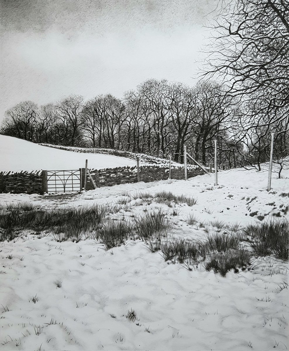 Sue Scott tweet media