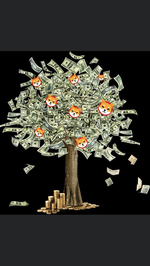Dec. 25 (Bloomberg) -- Cryptocurrency whales have purchased and transferred nearly 21 billion #Shiba Inu tokens to their wallets in the past hour, according to data provided by #Etherscan. #BTC #SHIB #DOGE #NFT #XRP #ETH #LTC #metaverse #blockchain #coinbase