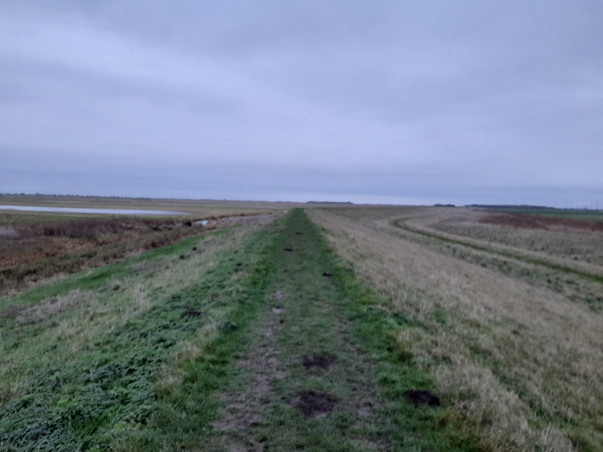 Christmas Day walk in the Fens....cold and windy but just what I needed! #Fenland #Whittlesey #NeneWay