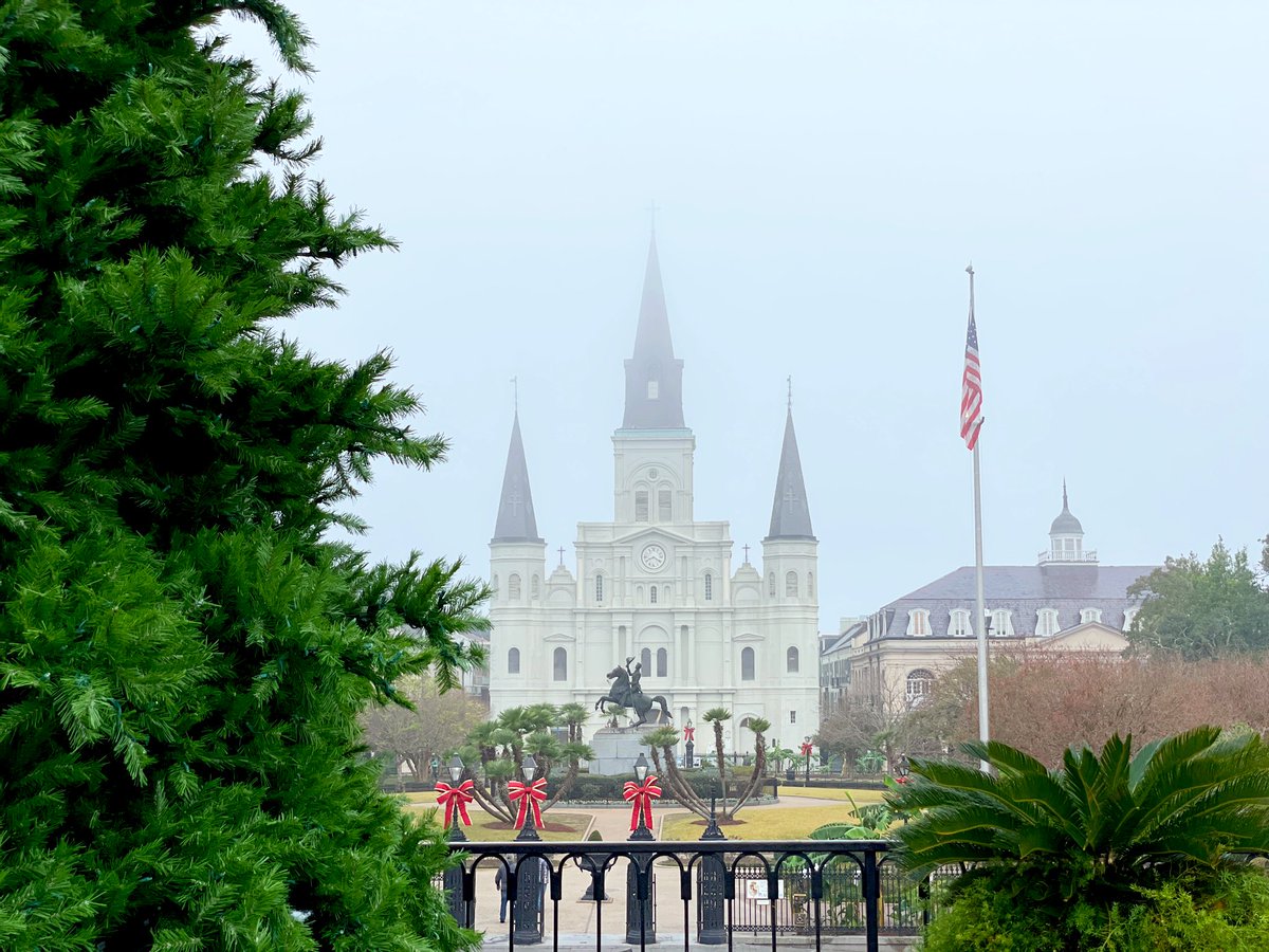 David Nola tweet media