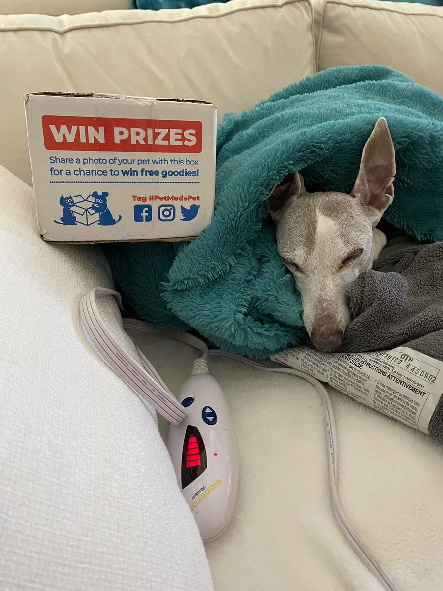 shsheets's tweet photo. #petmedspet ❤️❤️ https://t.co/gqrux2Cxbe