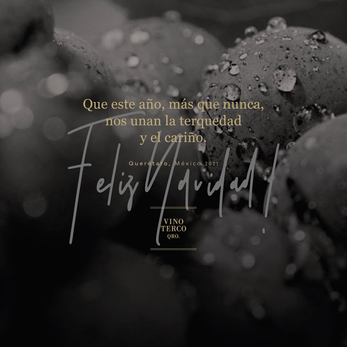 ¡Feliz navidad tercos! De parte de todo nuestro equipo les deseamos felices fiestas en compañía de sus seres queridos. Es un honor poderlos atender y acompañar con nuestros vinos tercos 🍷 en estas fechas tan especiales.
