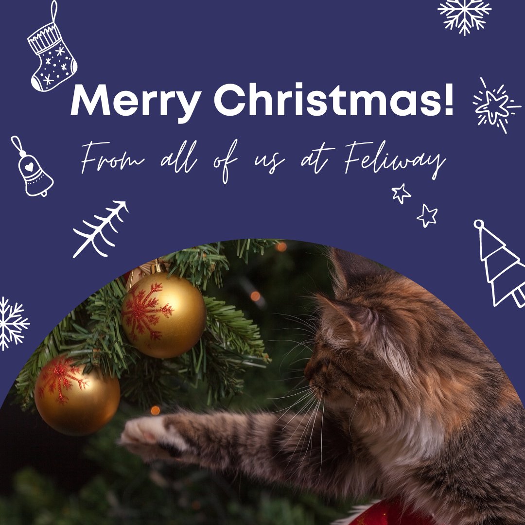 Adaptil's tweet photo. Merry Christmas!

We hope your Christmas is absolutely purrrfect! 🐱🎄 https://t.co/W3msFNf3tq