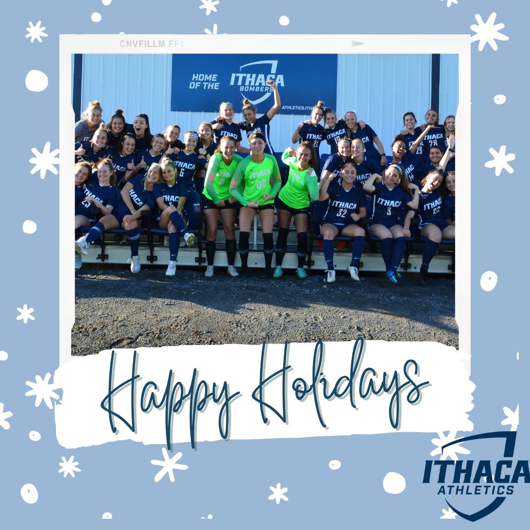 Have a safe and happy holidays from the ICWS team! 🤍❄️