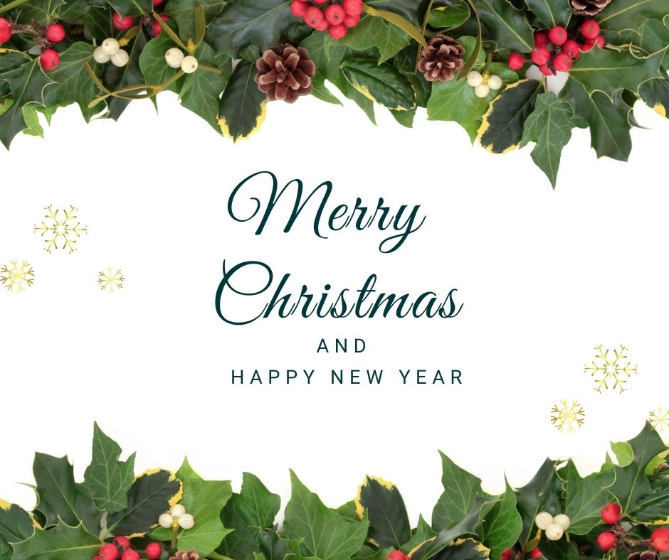 regenpartners's tweet photo. From our family to yours we wish you a happy holiday season and look forward to seeing you in 2022 https://t.co/BuA44J3Sl1