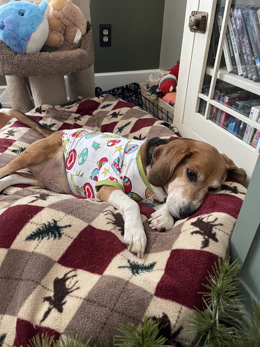 I hope all of you out there are warm, with your loved ones, and supervising food preparation while wearing festive jammies. Merry Christmas! #beagling 🐾🎄