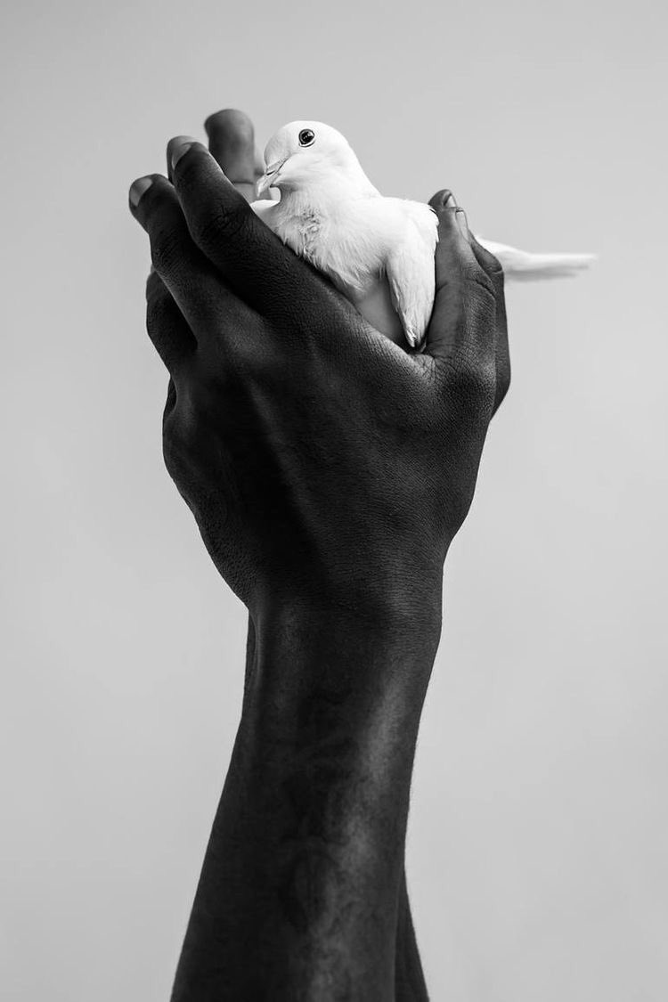 hourlyhands's tweet photo. https://t.co/T7bfEjMwQp