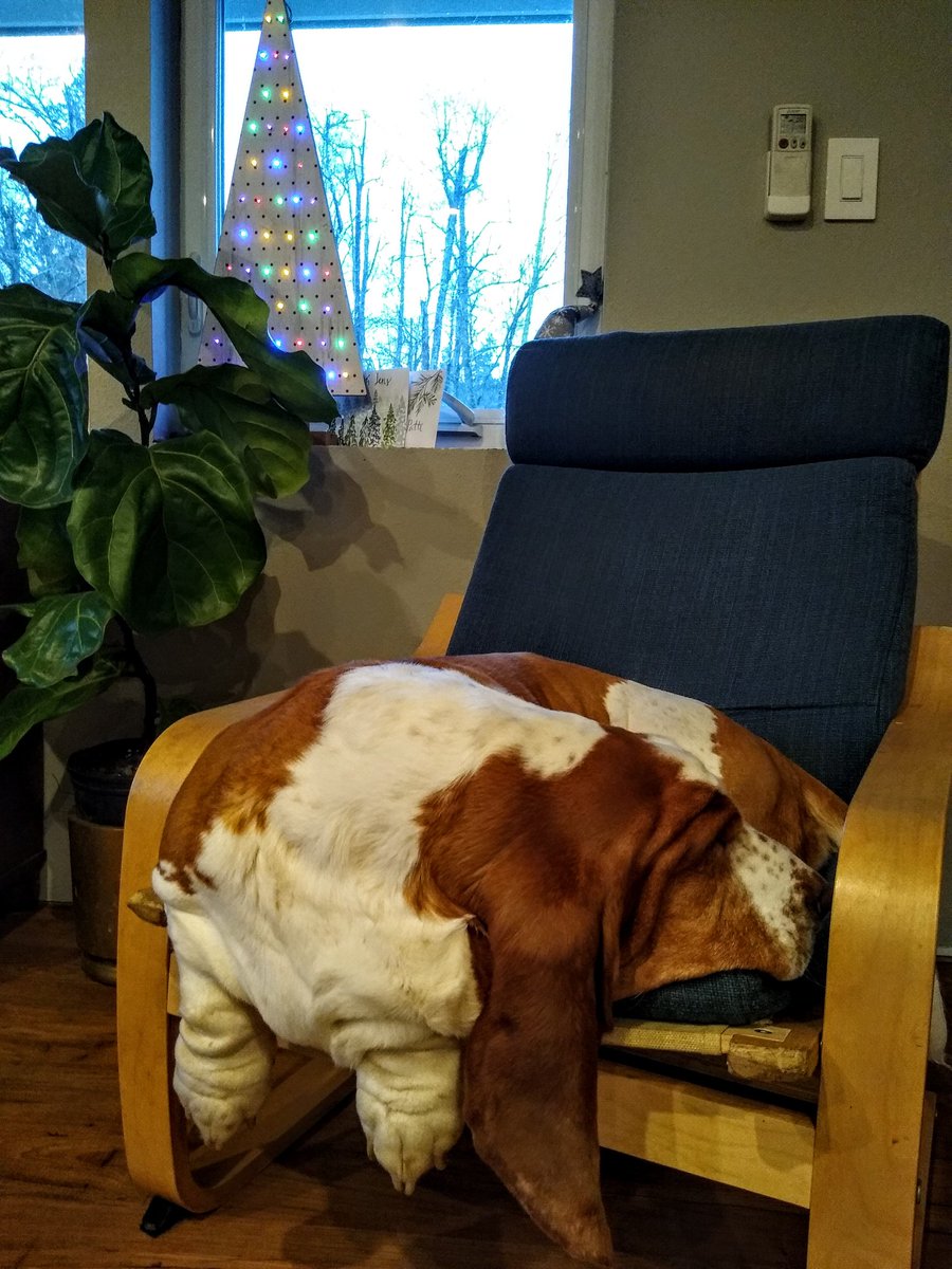 introvertedpnw's tweet photo. Bruce wishes everyone a very festive Christmas. https://t.co/ObXPI5gV95