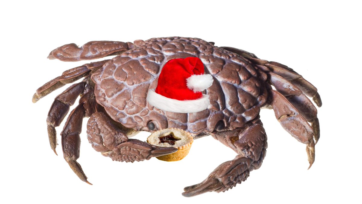 🎶We wish you a merry #Crustmas 
We wish you a merry Crustmas 
We wish you a merry Crustmas 
and a Happy New Year! 🎶

🦀🎄🎅 
#Crustaceans #Biodiversity #YCW2021