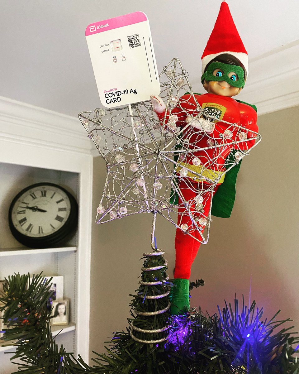 I don’t know where he’s been flying off to at night, but I blame Booger Tootie-Tot and his mischievous ways for this…. #COVIDChristmas