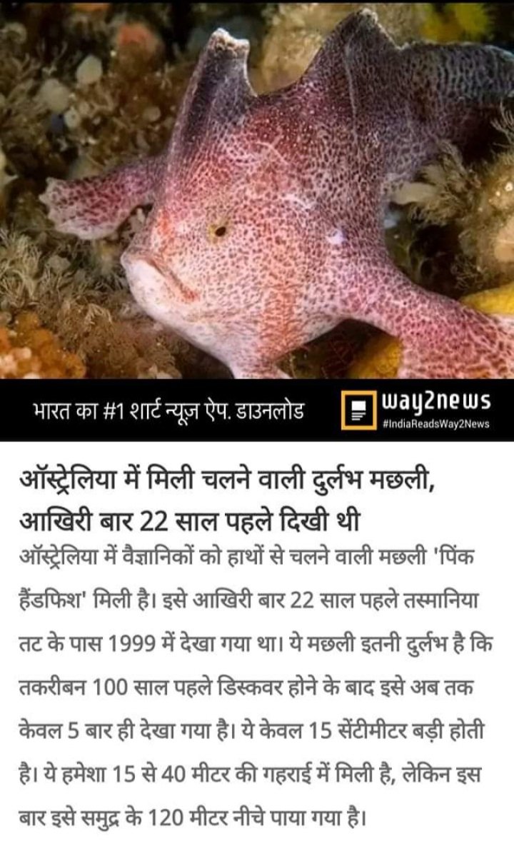 ddfcktd's tweet photo. https://t.co/EeQuONjIka