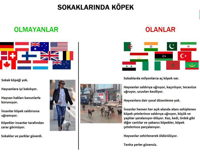 Ersin Örer tweet media