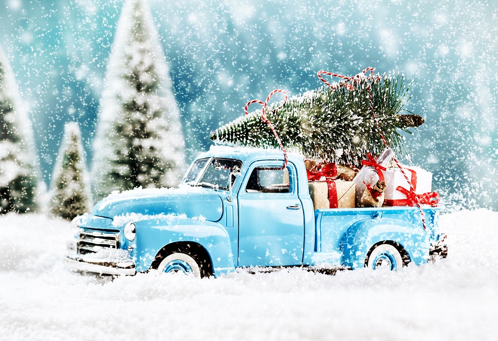 GrowArgos's tweet photo. Warmest wishes this holidays season.
#MerryChristmas #HappyHolidays #GrowArgos https://t.co/bIf3dZvd69