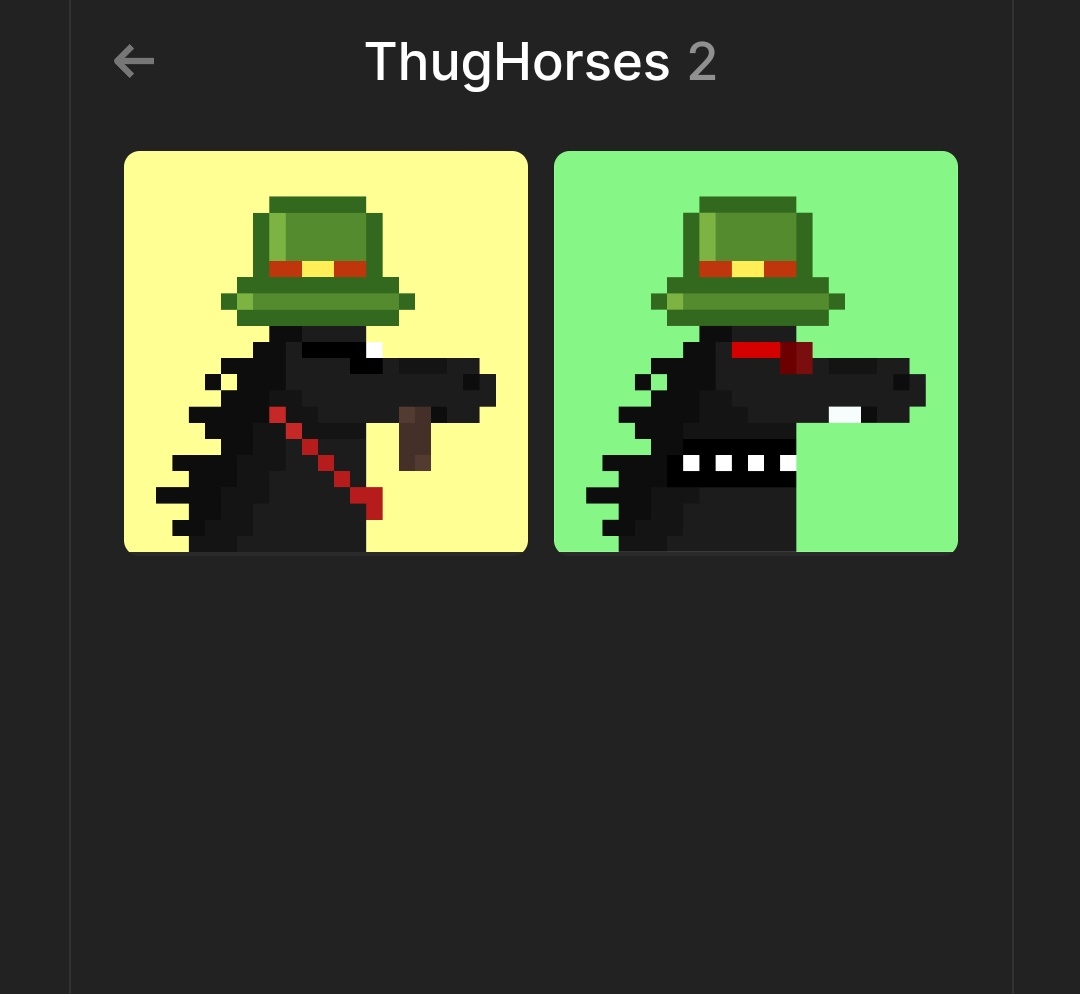 My twin blacky @thughorses