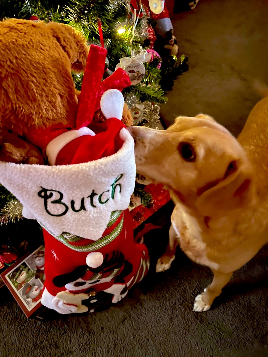 Merry Christmas! May the day be filled with happy surprises!