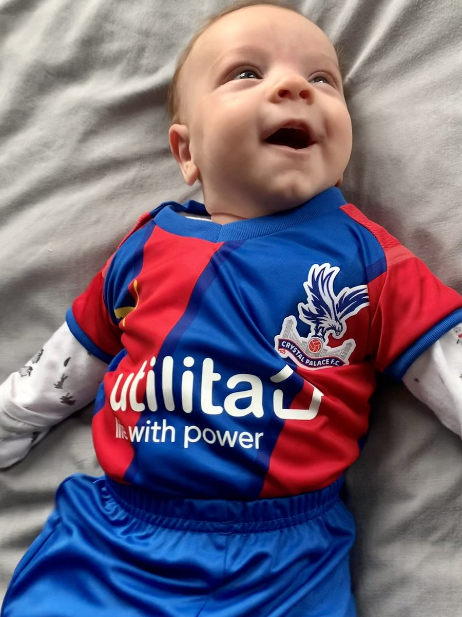 _georgeredman's tweet photo. @CPFC First kit of many…. Oscars first Christmas! https://t.co/lraWDfYcXk