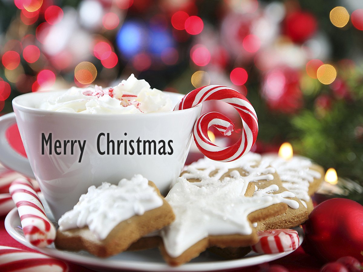 theDRGnc's tweet photo. Hoping your #Christmas is filled with joy. #MerryChristmas https://t.co/wHpce8C0dK