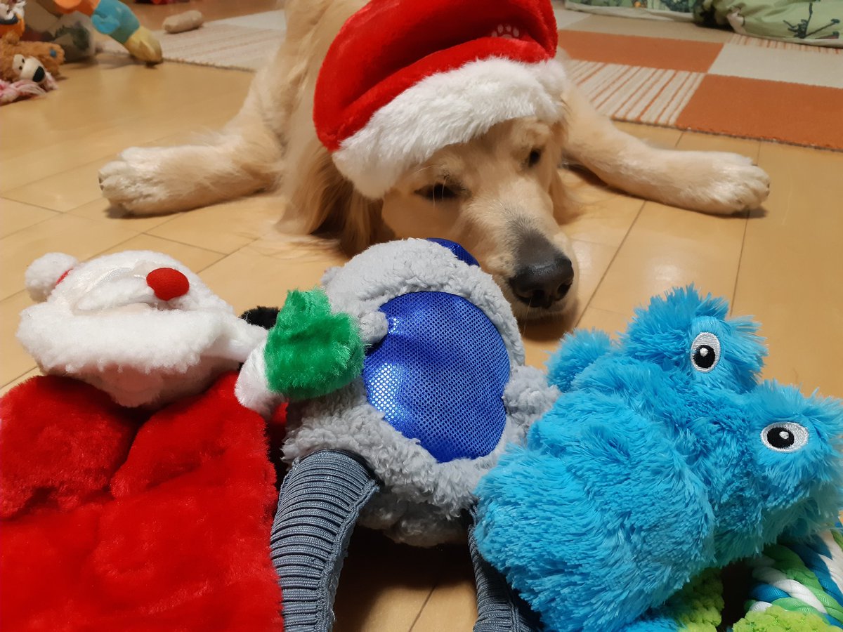 🎅🎄🎁MERRY CHRISTMAS🎅🎄🎁

今日はクリスマスということで豪華なディナー作ってみました🍽🎅

作るのは大変だけど、食べるのは一瞬😂😂

でも美味しそうに食べてくれて満足です☺

次のケーキは誕生日までのお楽しみということで😄