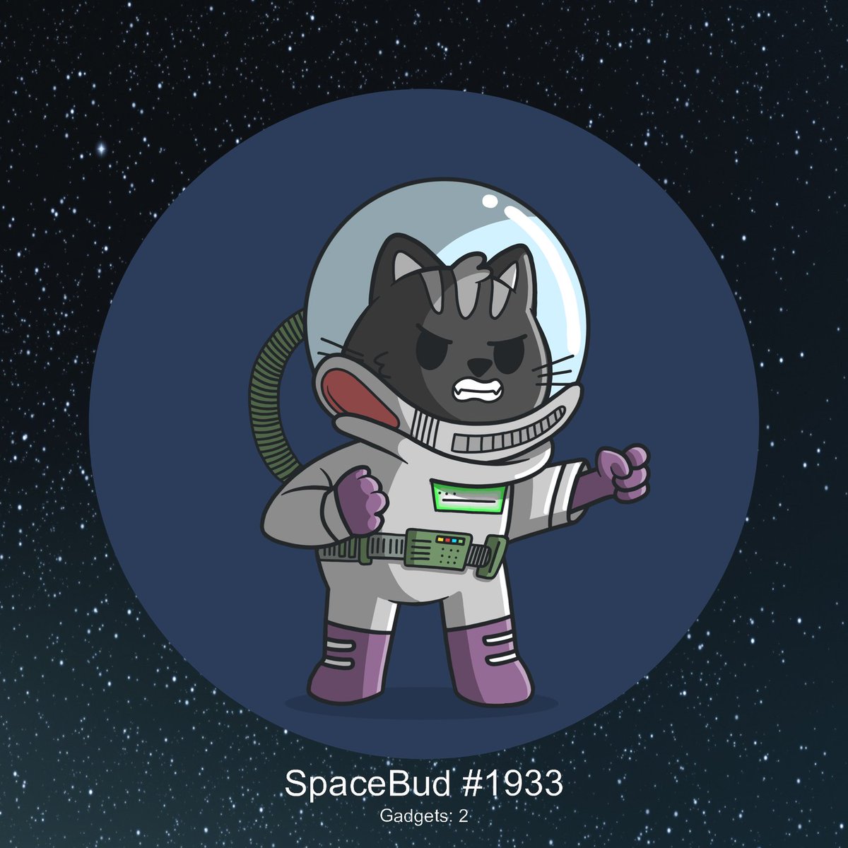 SpaceBudz Bot tweet media