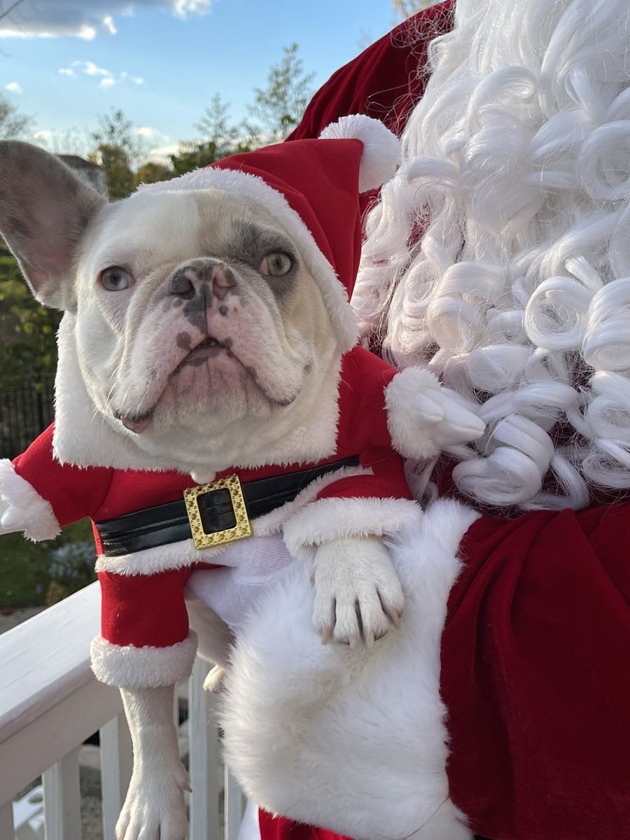 DeniseAFuller's tweet photo. Merry Christmas!! https://t.co/wmaCZMdDjT