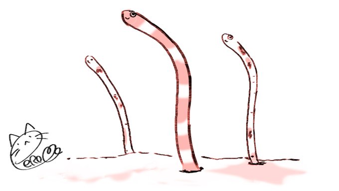 めりくりー🎄
玉ぺろサンタのクリスマスプレゼントじゃよ🎅
42まいめ(@TIN_ana5)さん
リクエスト「チンアナゴ」
すいぞくかんいきたい
#ぺろサンタ2021 