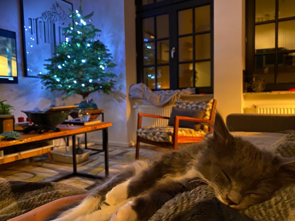 WhosCoachingYou's tweet photo. Merry Christmas 🎄 

Great to spend time with friends and keeping things chill and simple. 

Nap time yes? https://t.co/4vkSaRyjXh