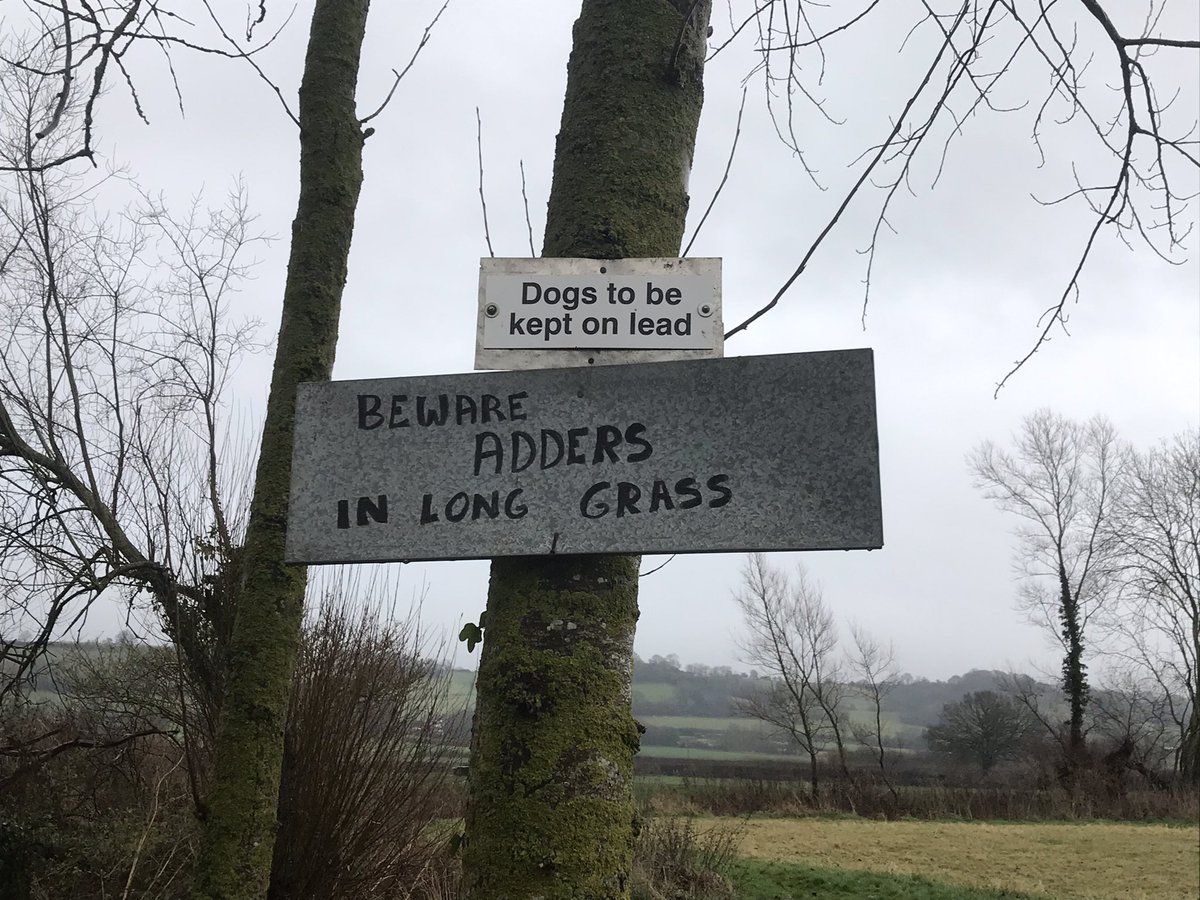 Museum_Rachel's tweet photo. Christmas happenings and for the sign lovers amongst us a pic just for you...most importantly is the text big enough?!? #Christmas #RuralLife #MuseumSignage #ADogsLife Eddie and Lily say Happy Christmas to Huxley @romanpalace https://t.co/KVwf5Q61so