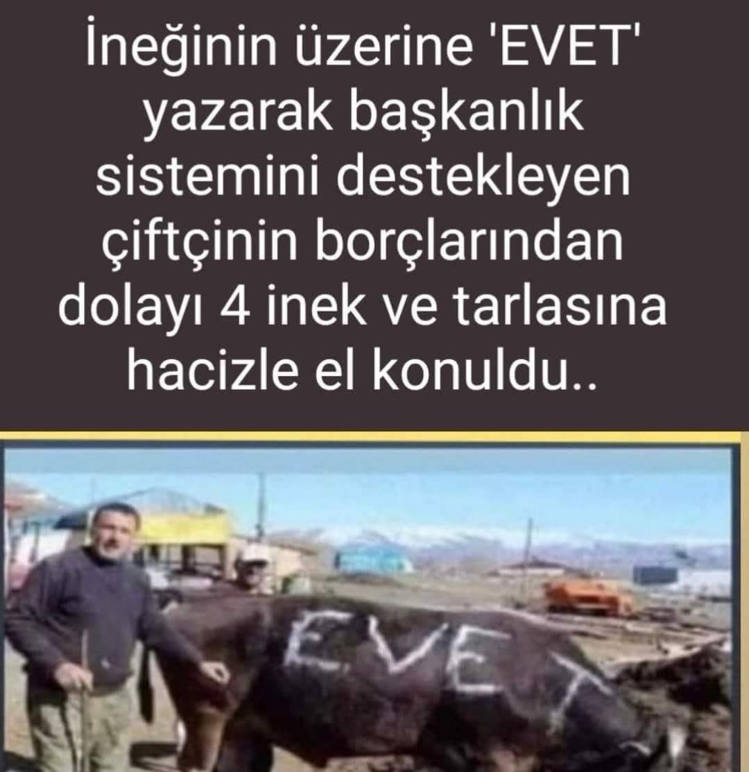 CELLADINI KURTARICISI OLARAK GÖREN BİR TOPLUM
KASABIN BIÇAĞINI YALAYAN
APTAL DANAYA BENZER.