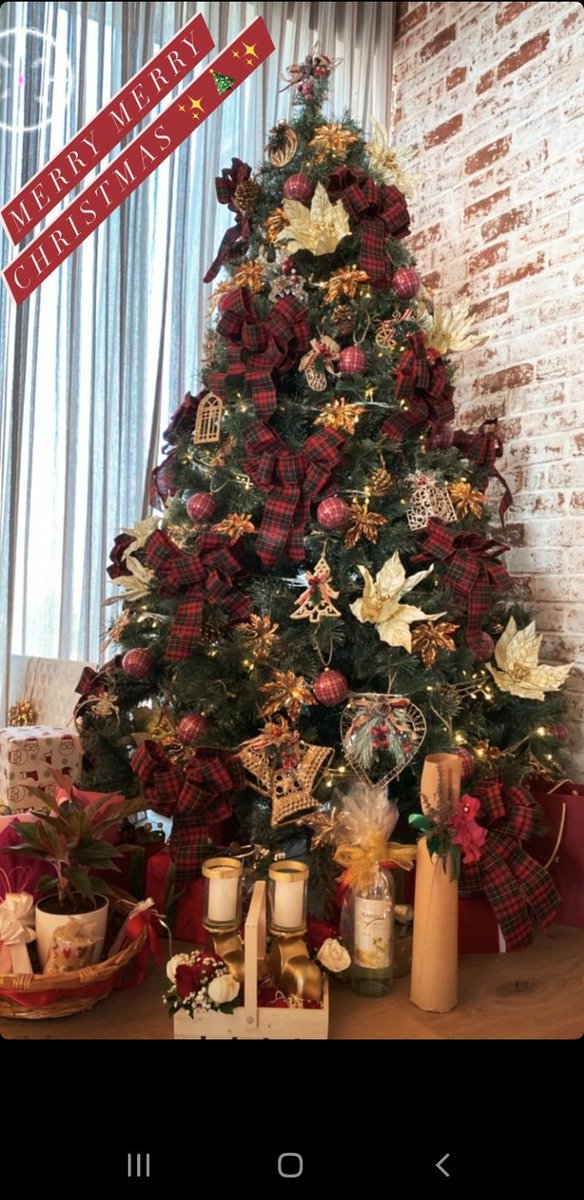 i_akks's tweet photo. Seems like #KatrinaKaif and #VickyKaushal have hosted a christmas brunch at their New home😍

Issy and Mini posted on their Ig stories❤ https://t.co/Q8FpZs92uH