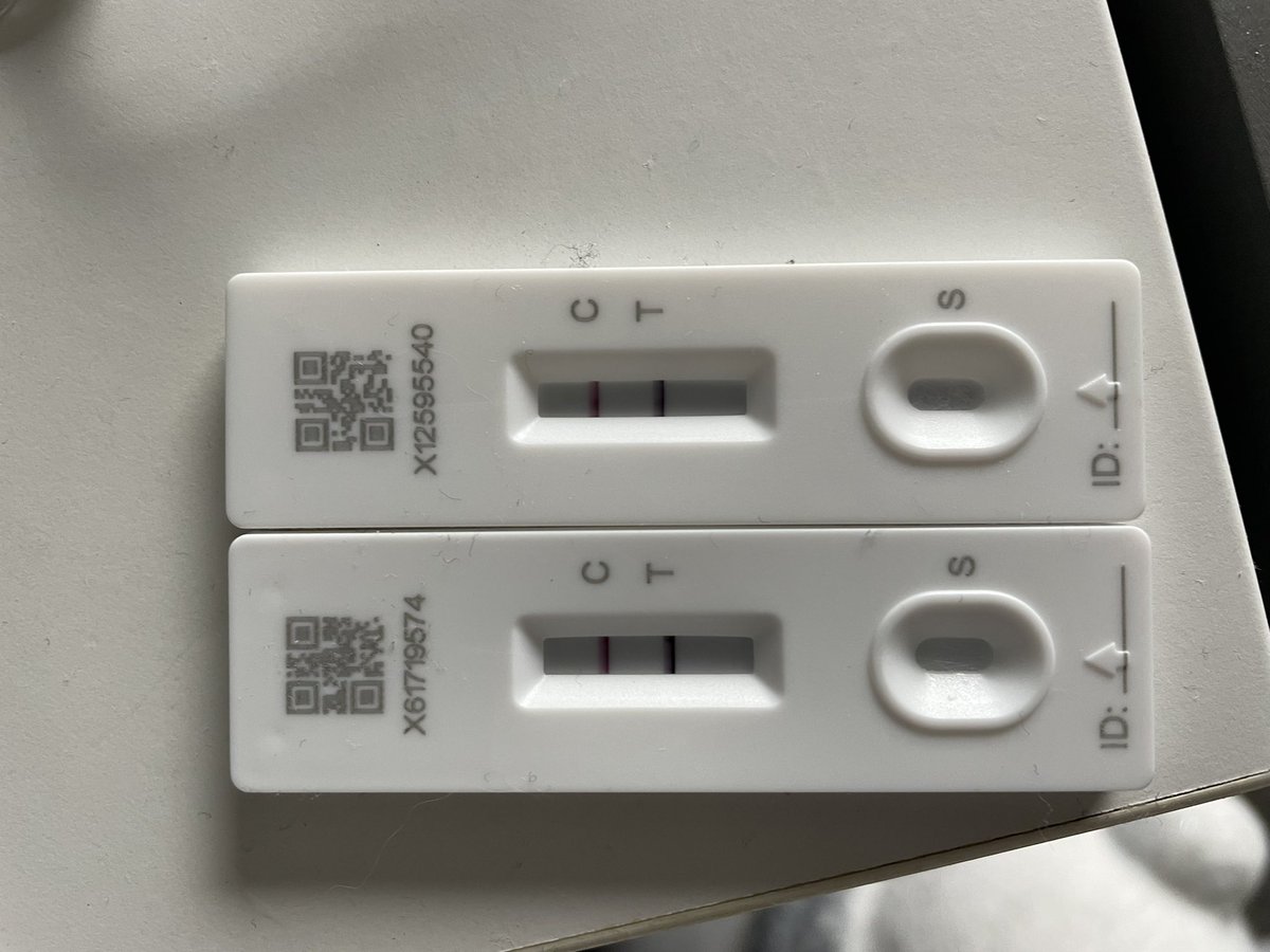 Ian - Bitdead tweet media