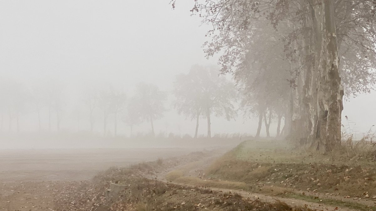 A casa nostra la boira també fa Nadal! #ivarsdurgell #laboira <a href="/ARAmeteo/">ARA Méteo</a> @eltempsTV3 <a href="/324cat/">3catinfo</a> <a href="/CatalunyaRadio/">Catalunya Ràdio</a> <a href="/laboiradeponent/">Laboiradeponent</a> <a href="/meteocat/">Meteocat</a> <a href="/Eng_Agronoms/">Enginyers Agrònoms de Catalunya</a> @MeteoMauri <a href="/SoniaPapell/">Sònia Papell Caimons</a> <a href="/TomasMolinaB/">Tomàs Molina</a> <a href="/gemmapuigf/">Gemma Puig Feliu</a> <a href="/eloicordomi/">Eloi Cordomí Montoya</a>