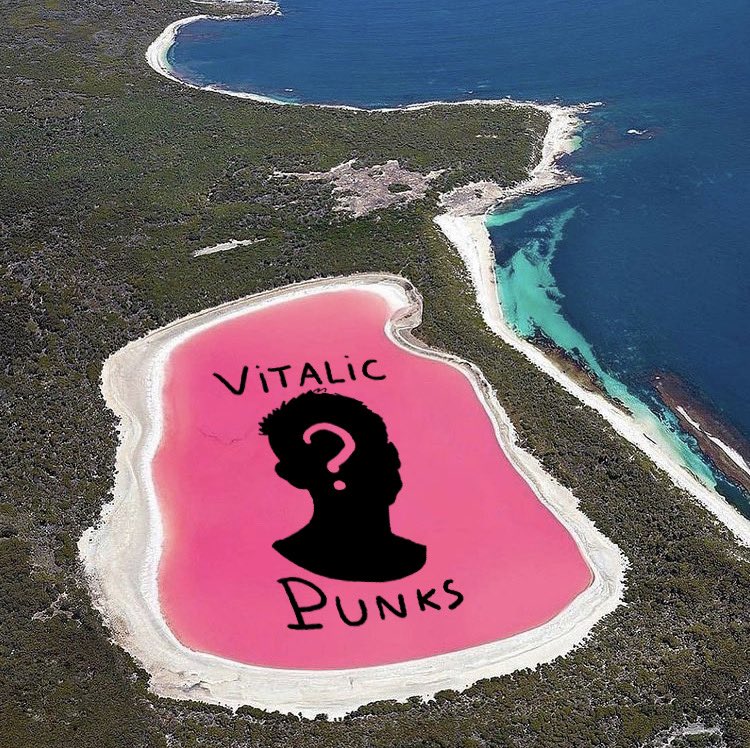 VitalicPunks's tweet photo. Land really is the best art 🙌 https://t.co/zBIKQyzcc6