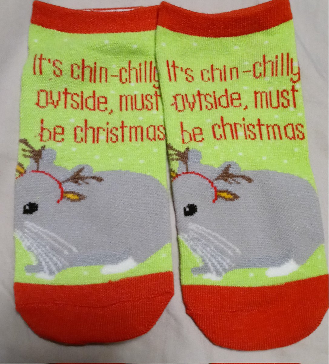 jztkddng's tweet photo. Last set of socks are chinchillas! Love these. #12DaysofSocks https://t.co/26MVu9K0KV