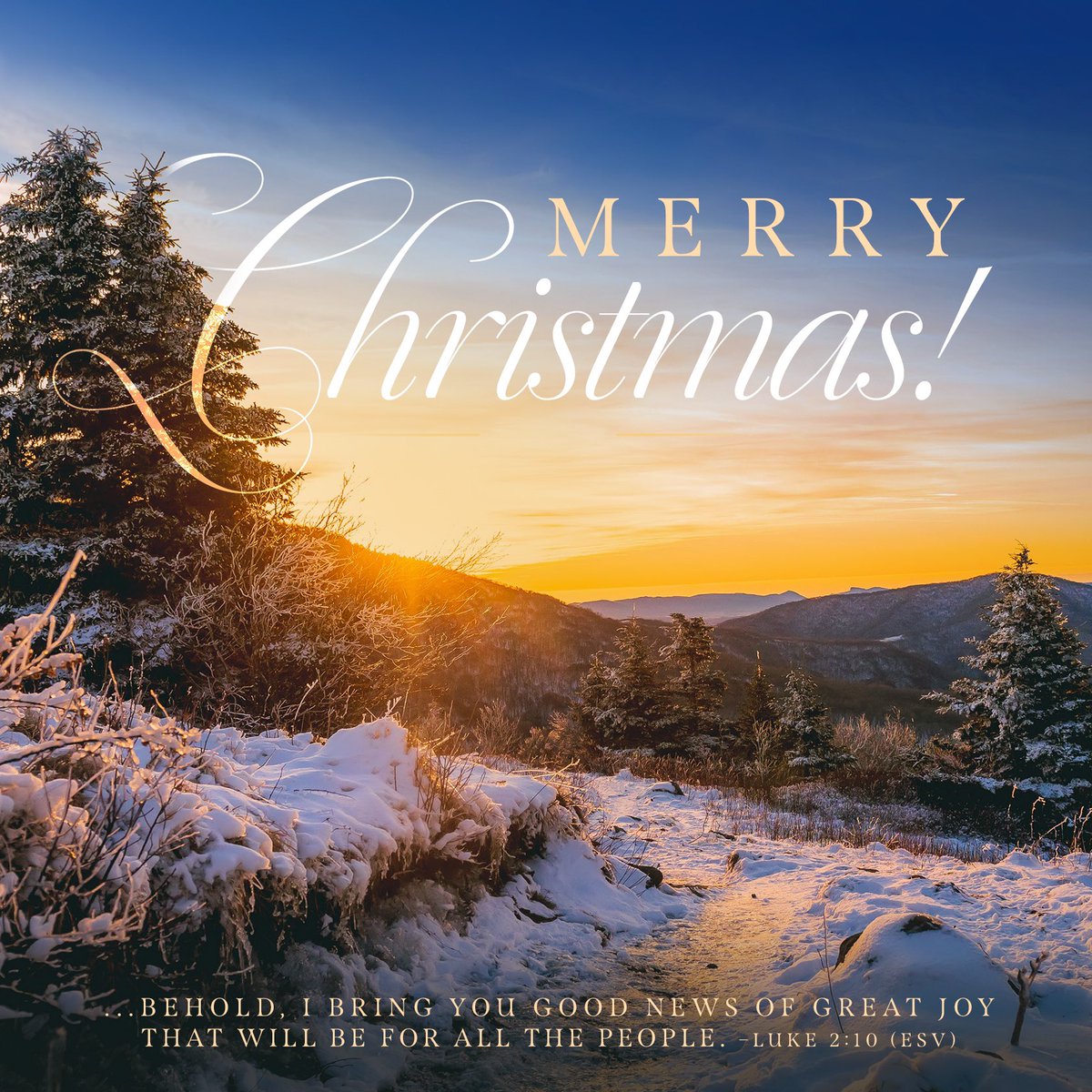 Franklin_Graham's tweet photo. “And the angel said to them, “Fear not, for behold, I bring you good news of great joy that will be for all the people. For unto you is born this day in the city of David a Savior, who is Christ the Lord.” (Luke 2:10-11)
#MerryChristmas https://t.co/jxsbSzeVGK