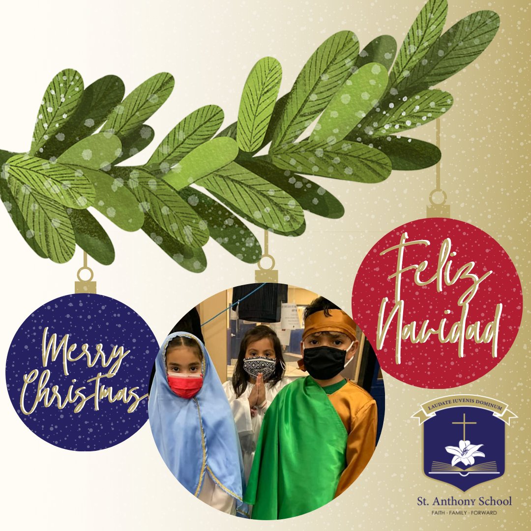SASMilwaukee's tweet photo. Merry Christmas from St. Anthony School! 🎄 - https://t.co/C0G75zuhwq https://t.co/gFJjVR2zJT