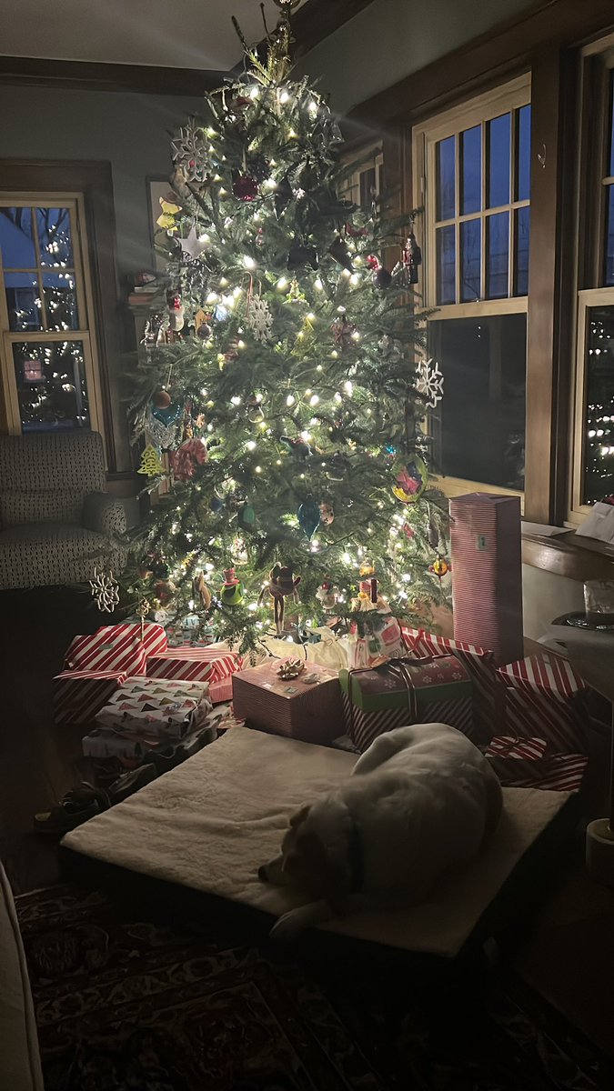 Hannibilly's tweet photo. @notthefakeSVP Playing Santa with Hank. https://t.co/uh81WEUVfA
