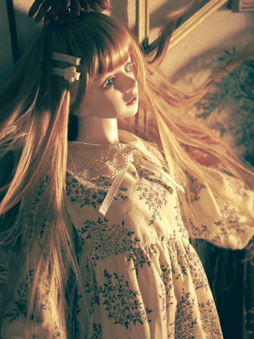 Spiritdoll Gardenia Www Vetrepro Fr