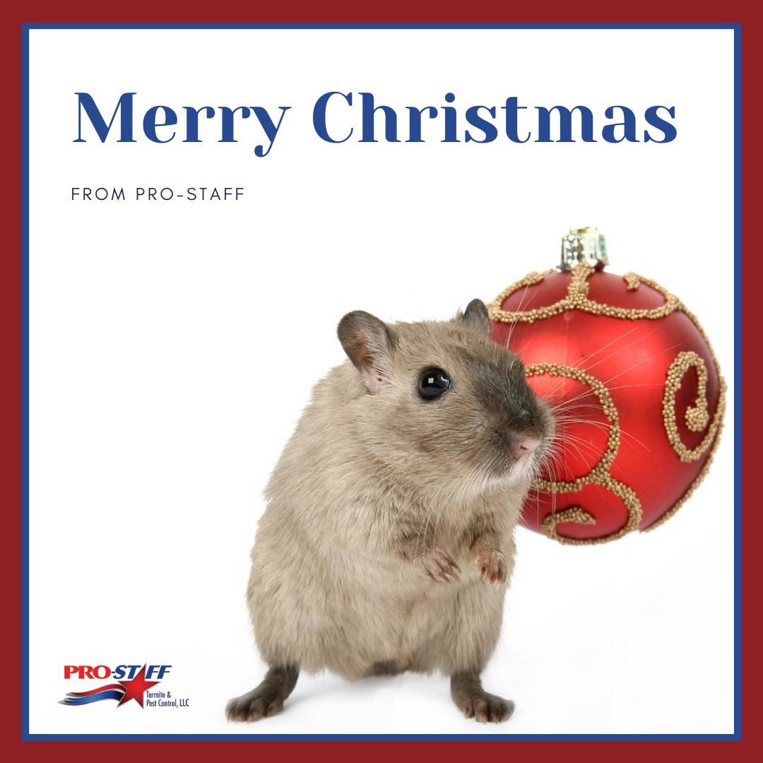 ProStaffPest's tweet image. Merry Christmas from all of us at Pro-Staff!