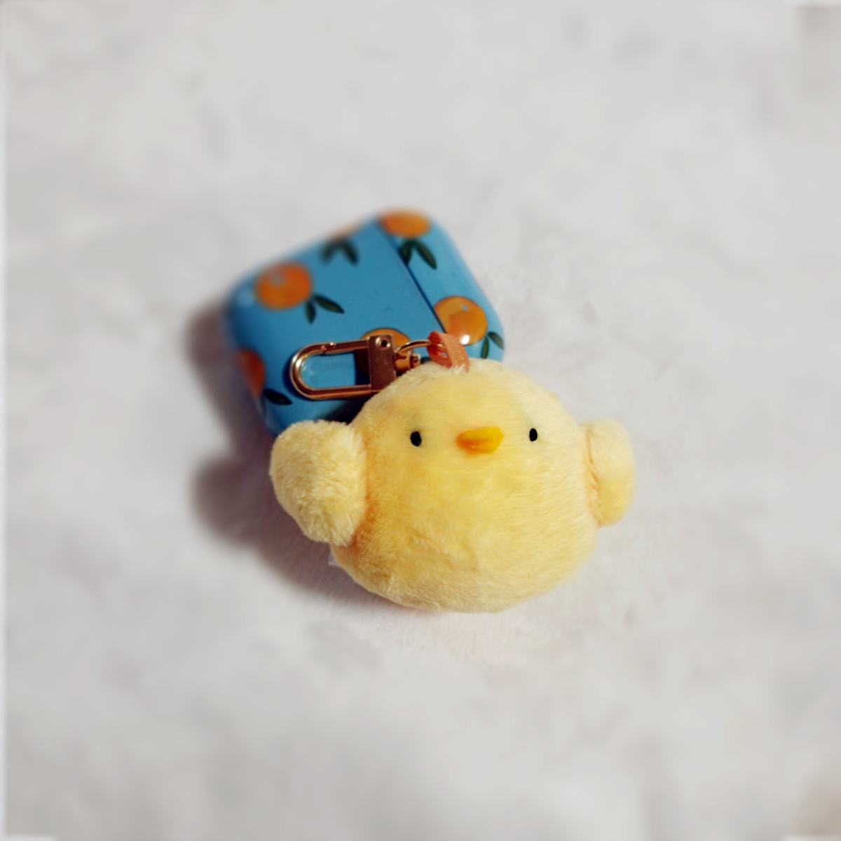 꼬누비 tweet media