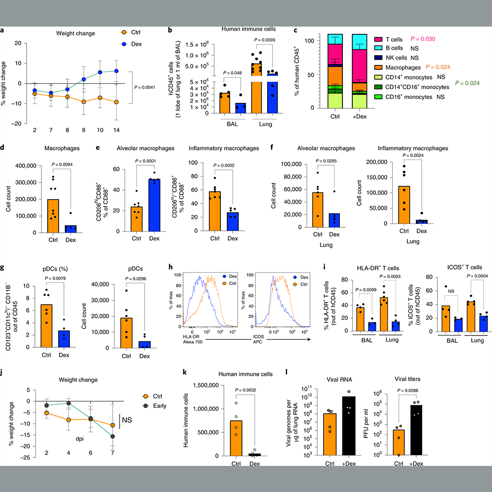 Nature Portfolio (@natureportfolio) on Twitter photo A <a href="/NatureBiotech/">Nature Biotechnology</a> paper presents a mouse model of chronic COVID-19 that facilitates the study of disease mechanisms and therapies. go.nature.com/30IFeyf A <a href="/NatureBiotech/">Nature Biotechnology</a> paper presents a mouse model of chronic COVID-19 that facilitates the study of disease mechanisms and therapies. go.nature.com/30IFeyf
