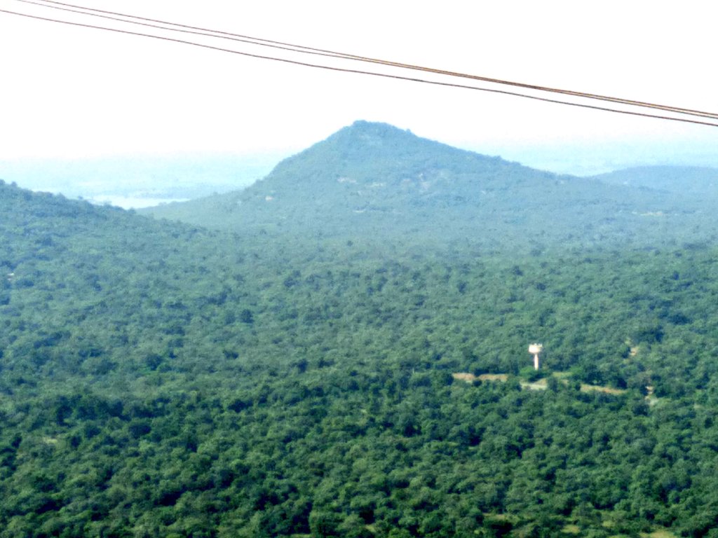 Alonely42599562's tweet photo. On the top of the mountain #nature #NaturePhotography #PhotoOfTheDay #photography #India https://t.co/BVVubcz3BW