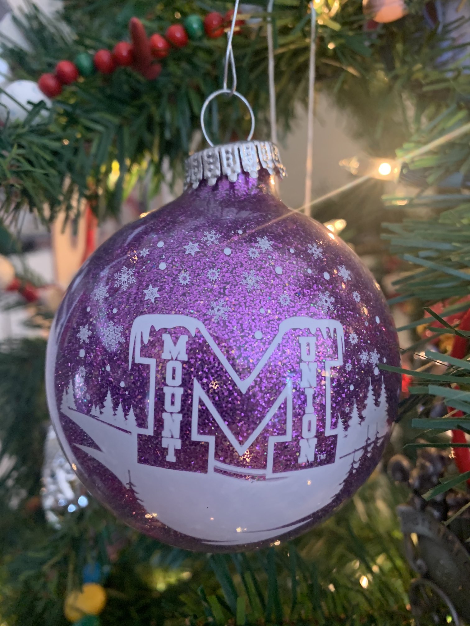 Mt Union 2022 Christmas Mount Union Baseball (@Umubaseball) / Twitter