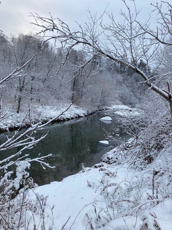 #MerryChristmas from my snowy walk along #HighlandCreek yesterday