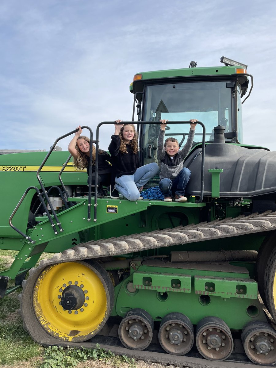 Merry Christmas from my wall bangers to yours!!