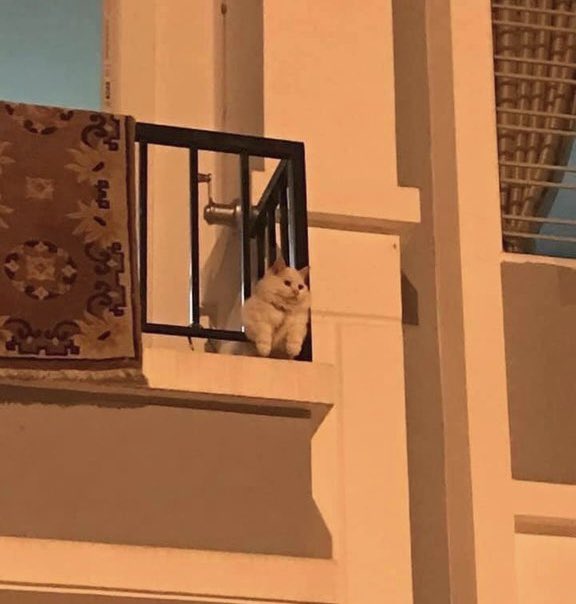 merry christmas lgbts