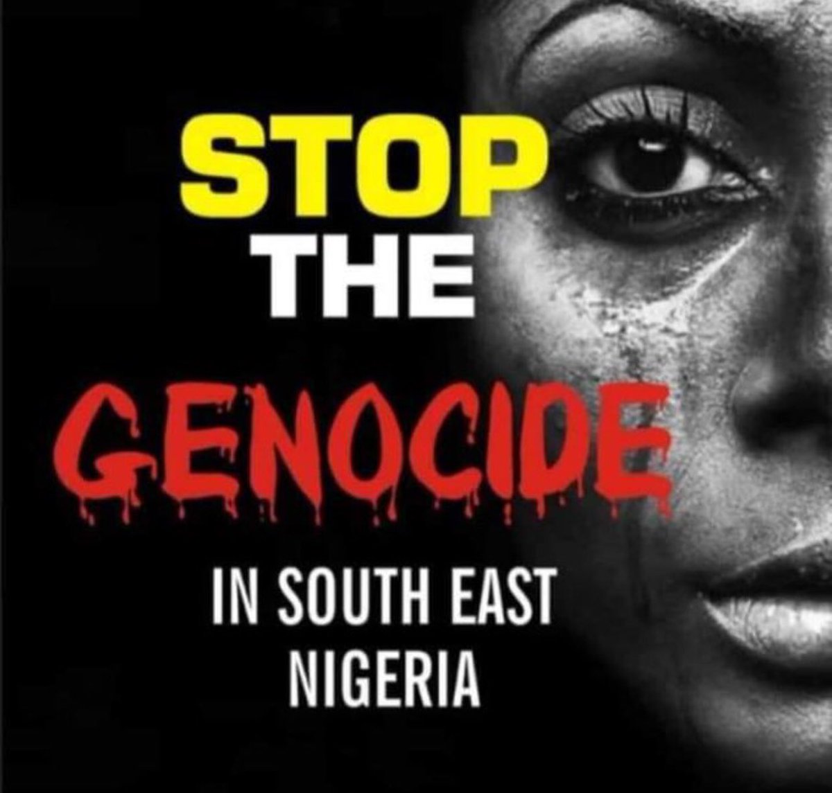 GospelofBiafra's tweet photo. Shame on you all - one #Nigerianist!
In #TheZooCalledNigeria, #Fulanis invaded, are above the law, occupied all the Gov't sensitive positions & are your #SlaveHunters - hunting on behalf of #British #SlaveMasters - the real owners of the #SlaveTrade organization!
#FreeNnamdiKanu https://t.co/q7hyLTumjN