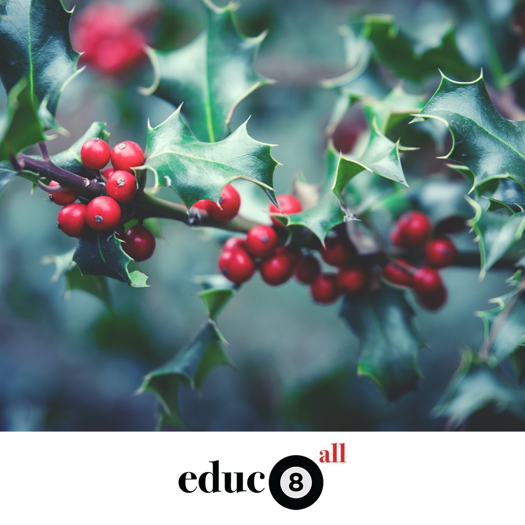educ8all_info's tweet photo. Merry Christmas!⠀
⠀
Whether you celebrate it or not, we hope you get the opportunity to rest and enjoy these days with your nearest and dearest (in accordance with all relevant COVID protocols)!⠀
⠀
#merryxmas #xmas #merrychristmas #boxingday https://t.co/IqGChZnanv