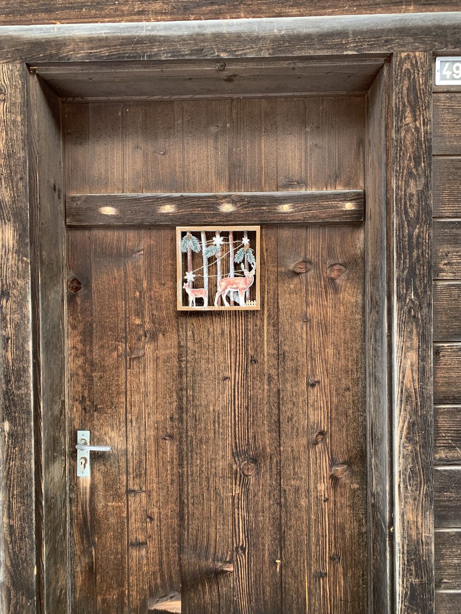 Today I probably came across the last #lynx tracks for this year. I wish you a Merry Christmas from the forest 🦌🐗🦡🐀☃️🙏